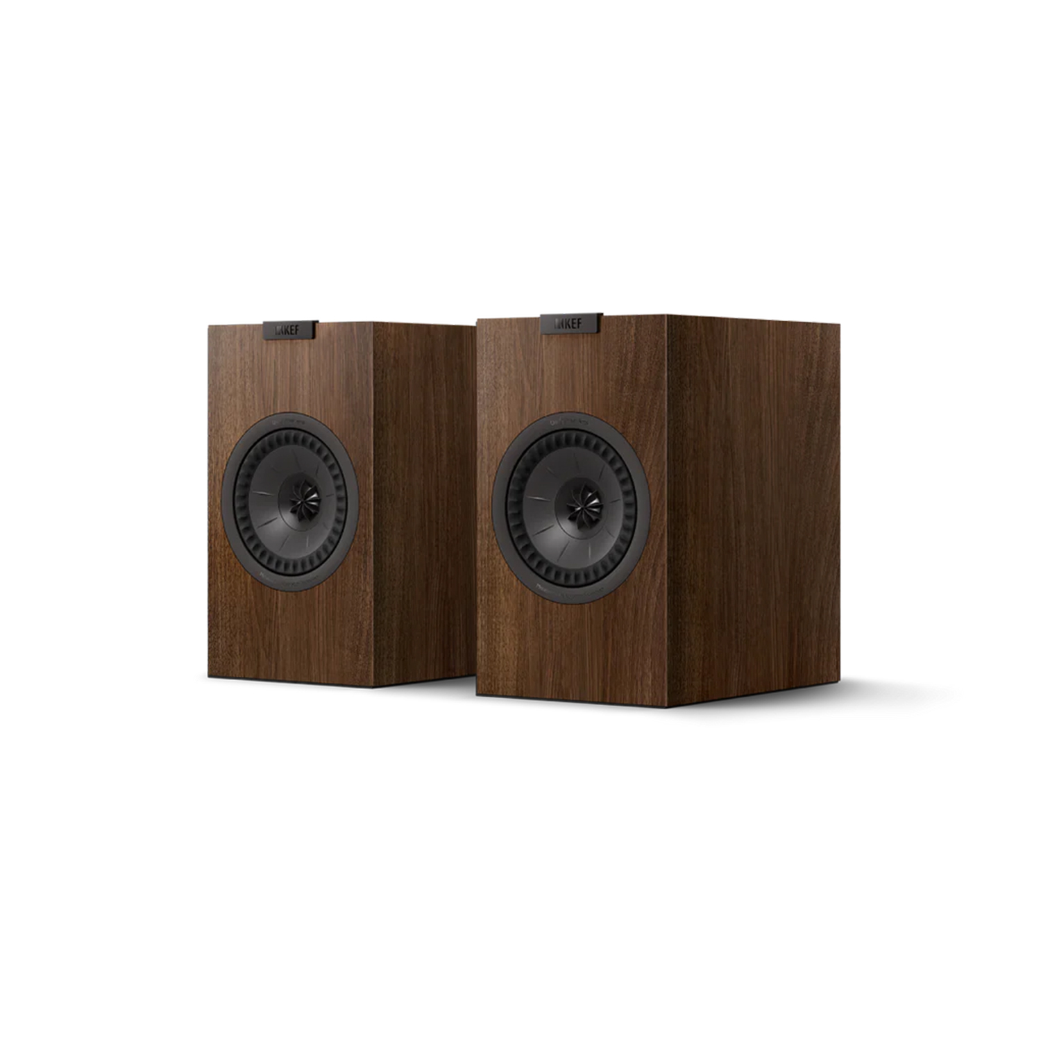 KEF Q1 Meta Walnuss --- 1