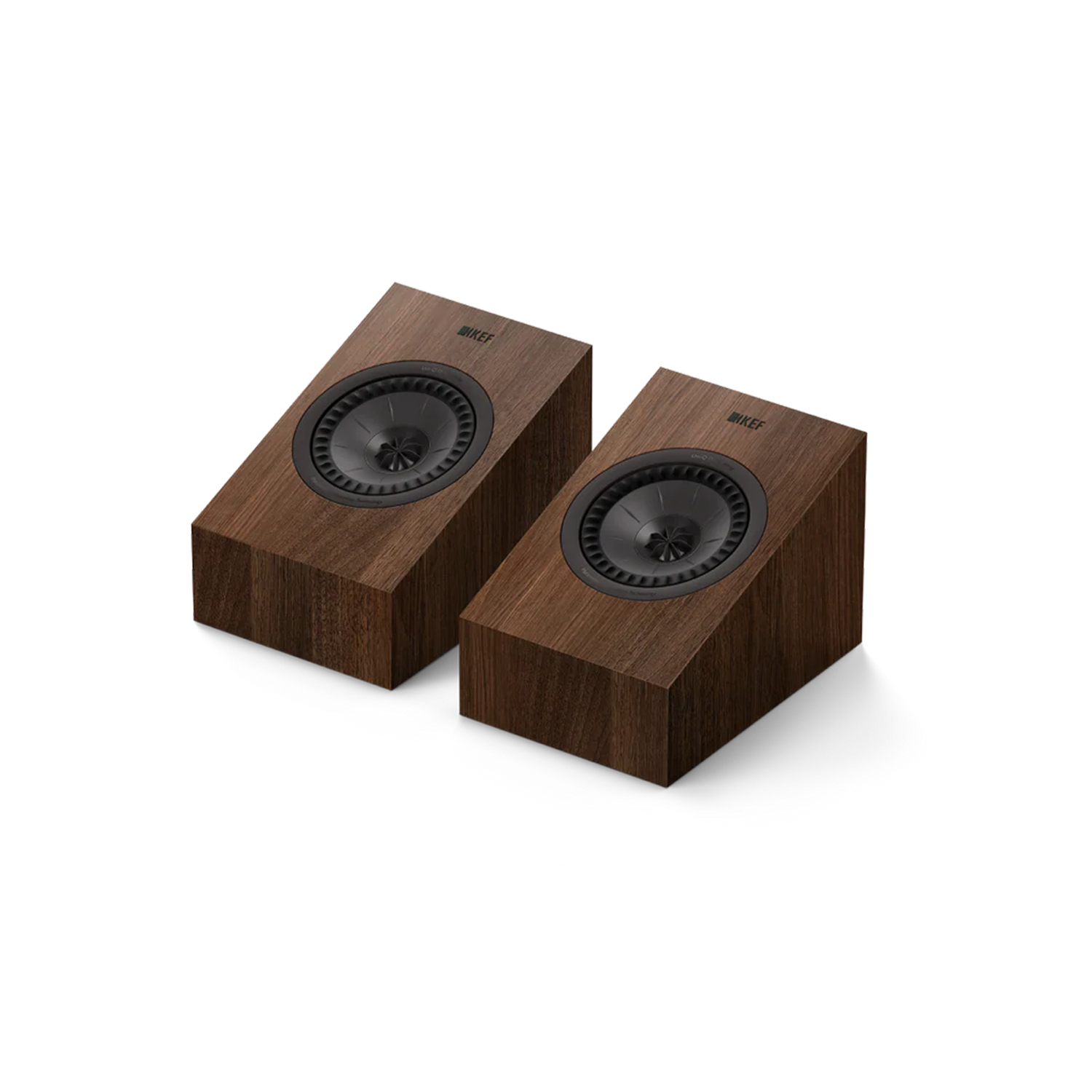 KEF Q8 Meta Walnuss --- 1