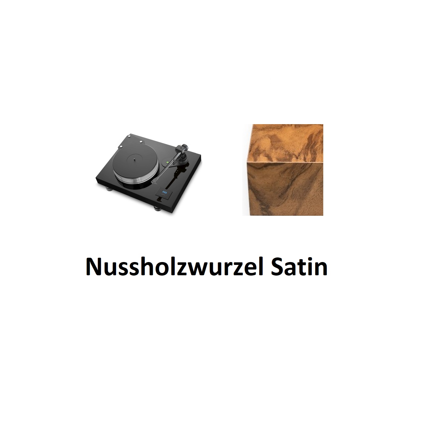 Pro-Ject Xtension 12 Evolution Nussholzwurzel satin --- 1