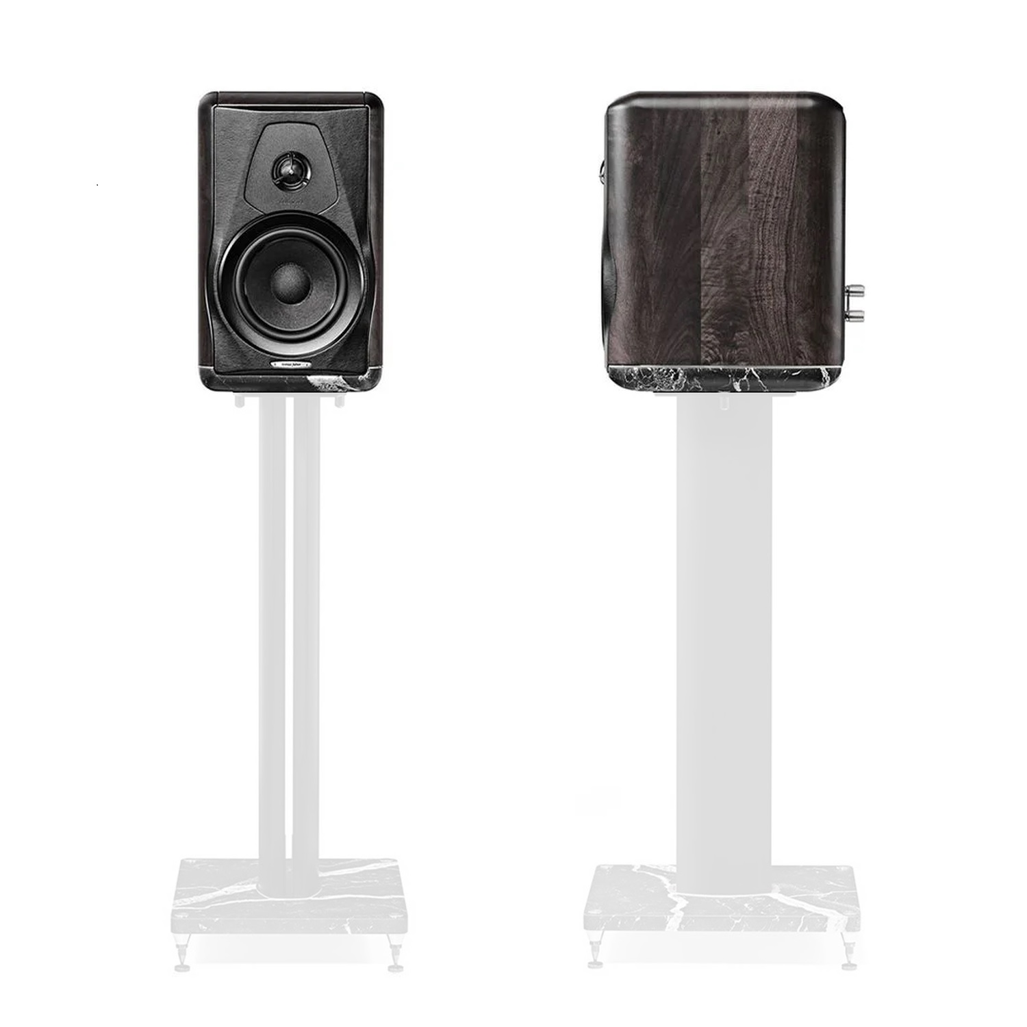 Sonus Faber Electa Amator III Graphitgrau --- 1