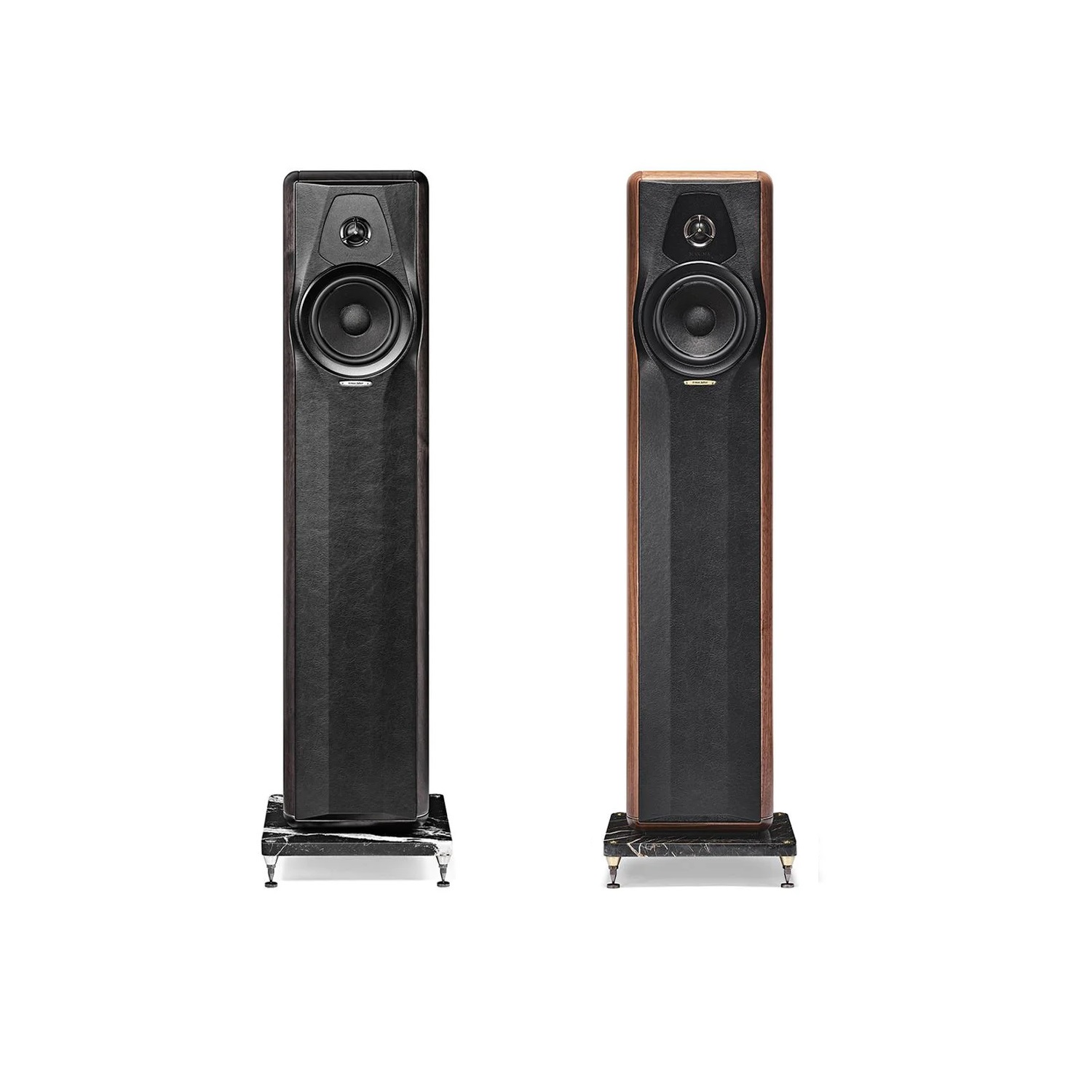 Sonus Faber Maxima Amator --- 1