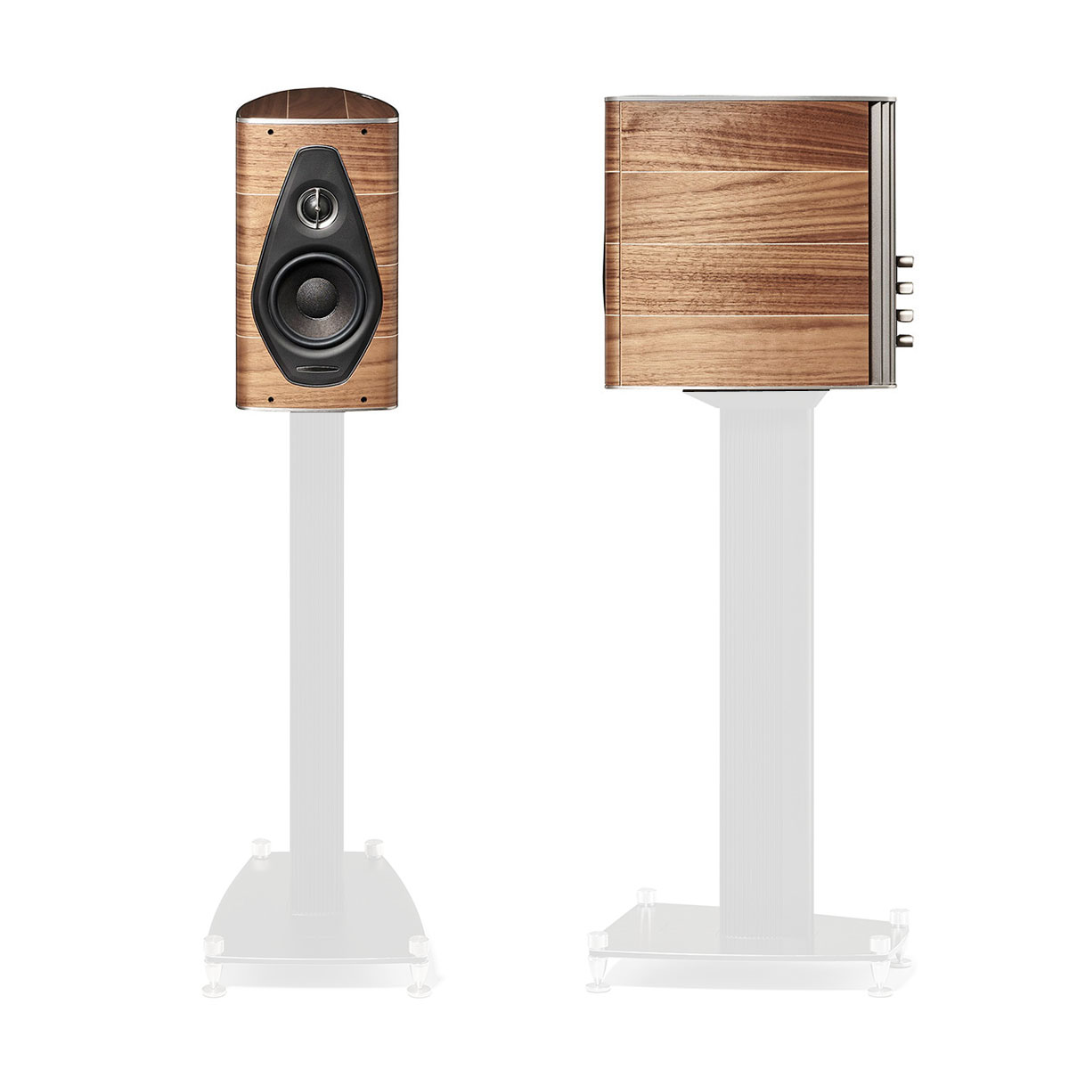 Sonus Faber Olympica Nova I Walnuss --- 1