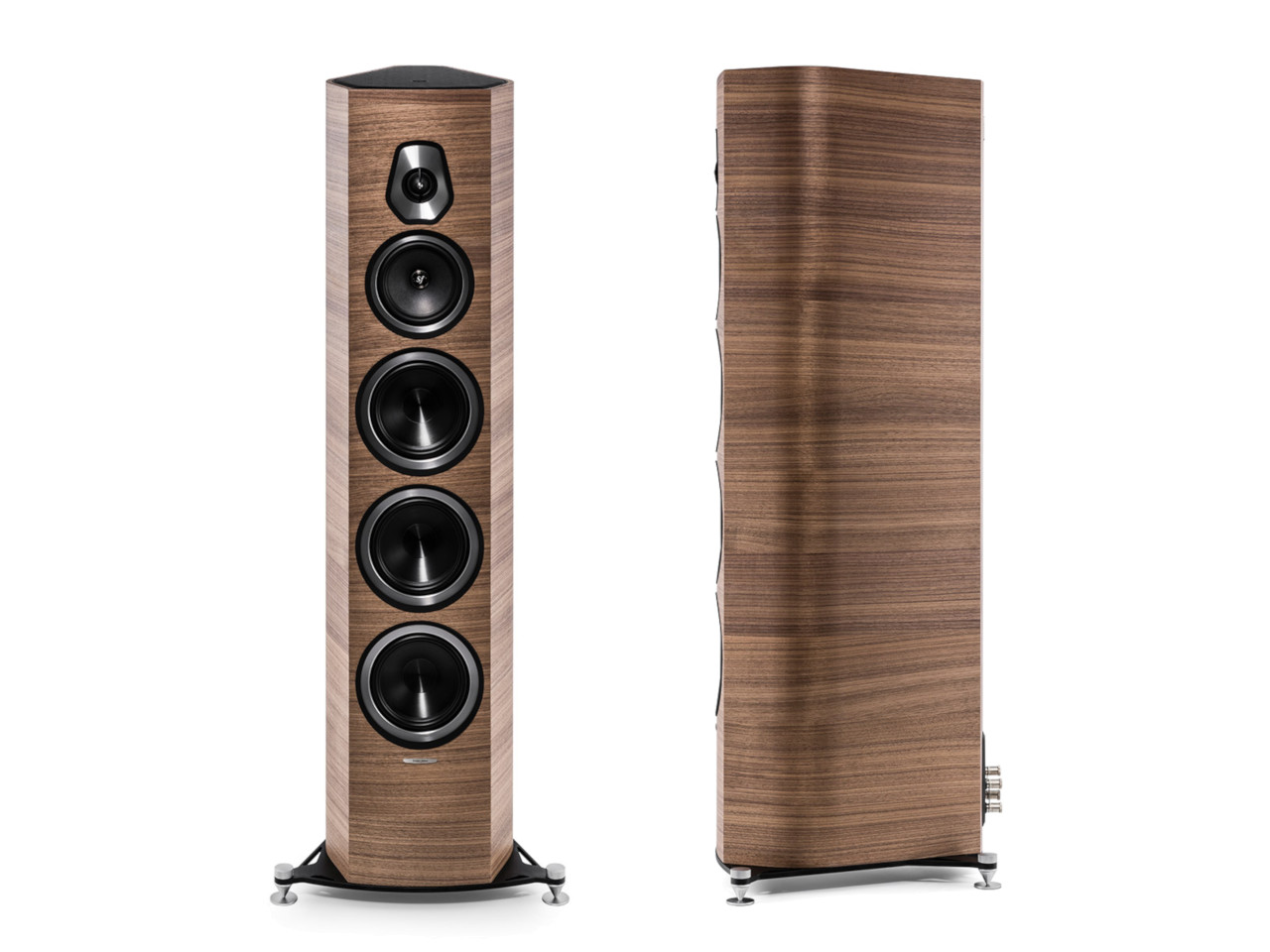 Sonus Faber Sonetto 8 Walnuss --- 1